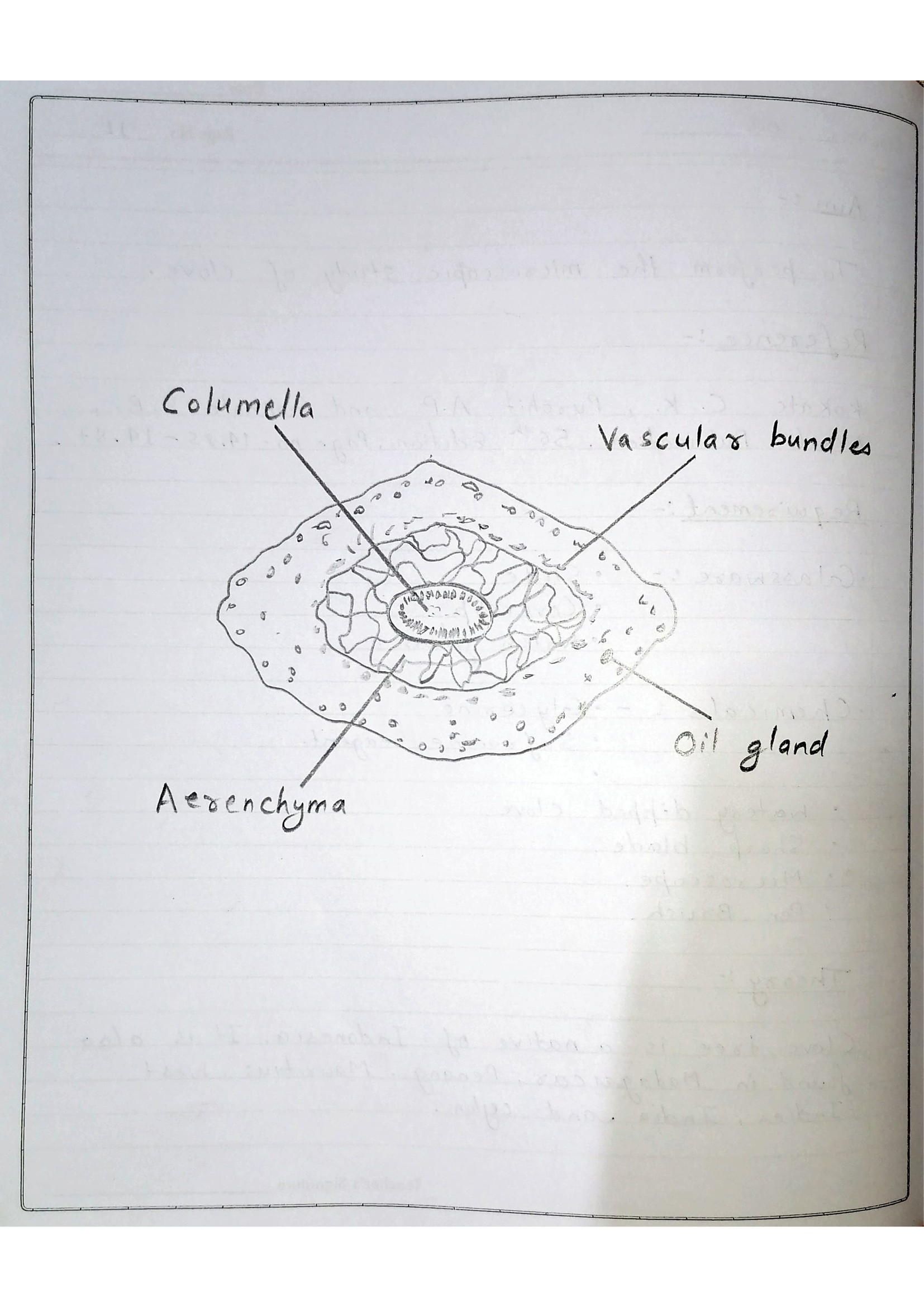 Pharmacognosy Practical